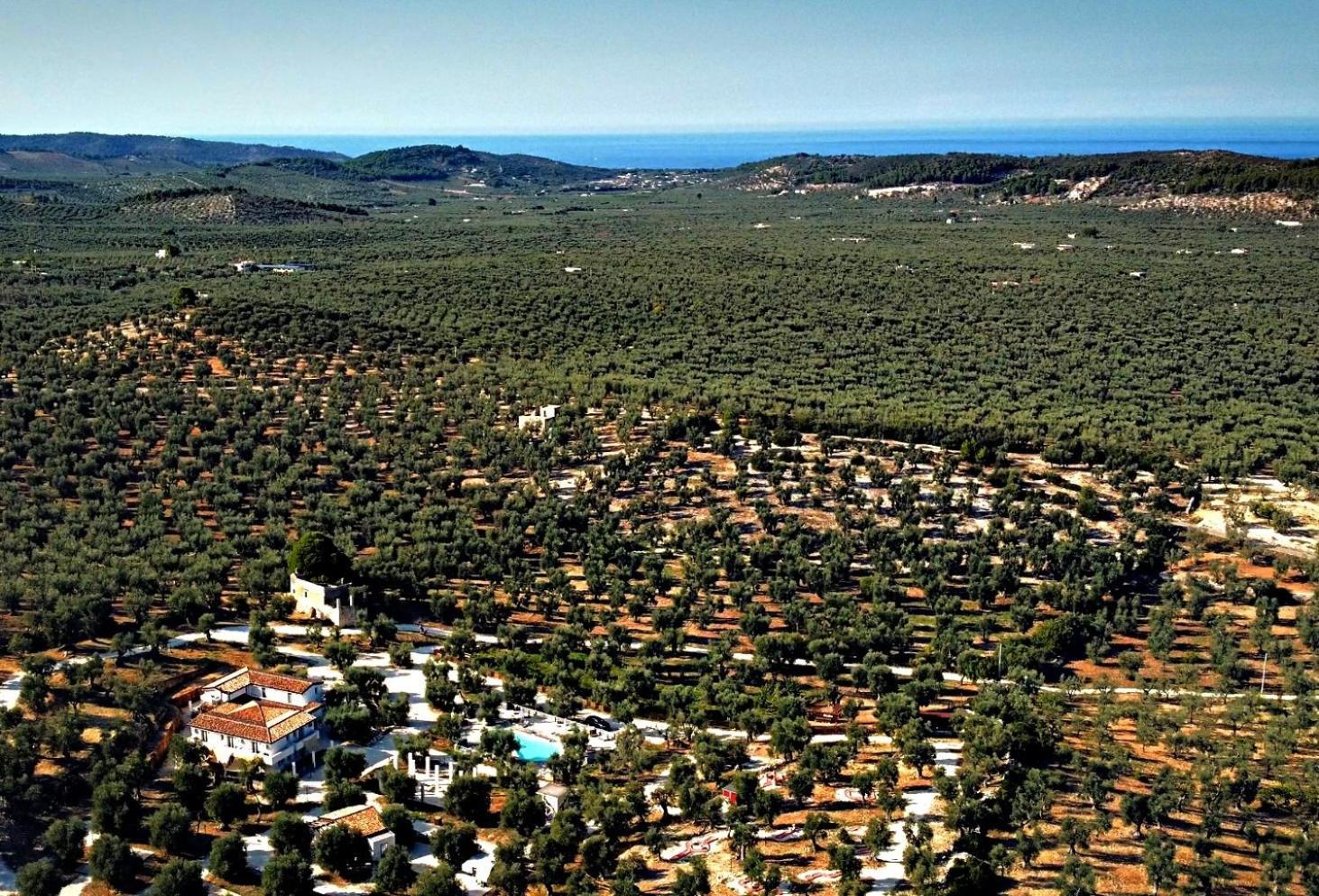 AGRICAMPEGGIO Agriturismo Passione Natura Vieste Esterno foto
